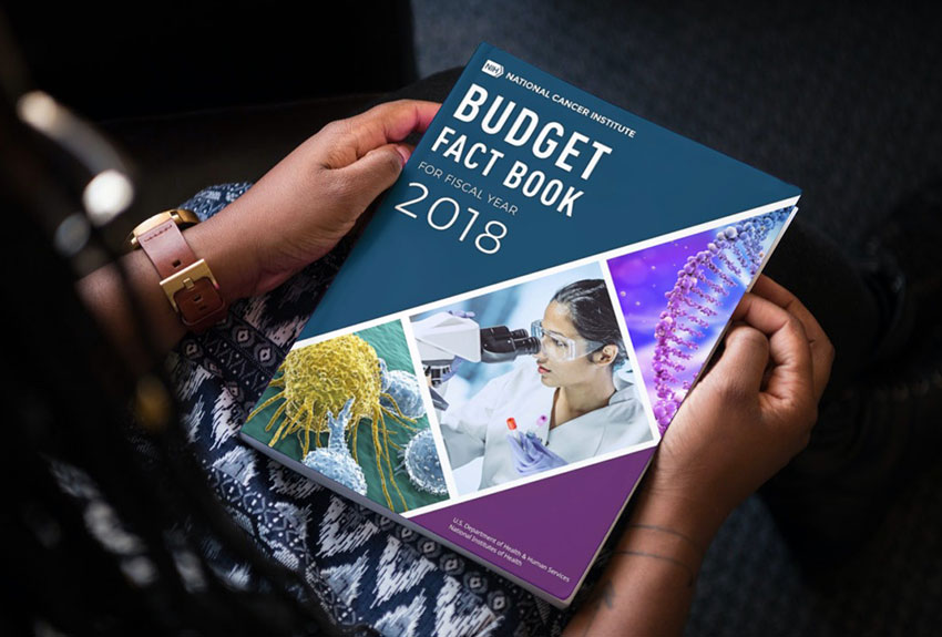 2018 Budget Fact Book