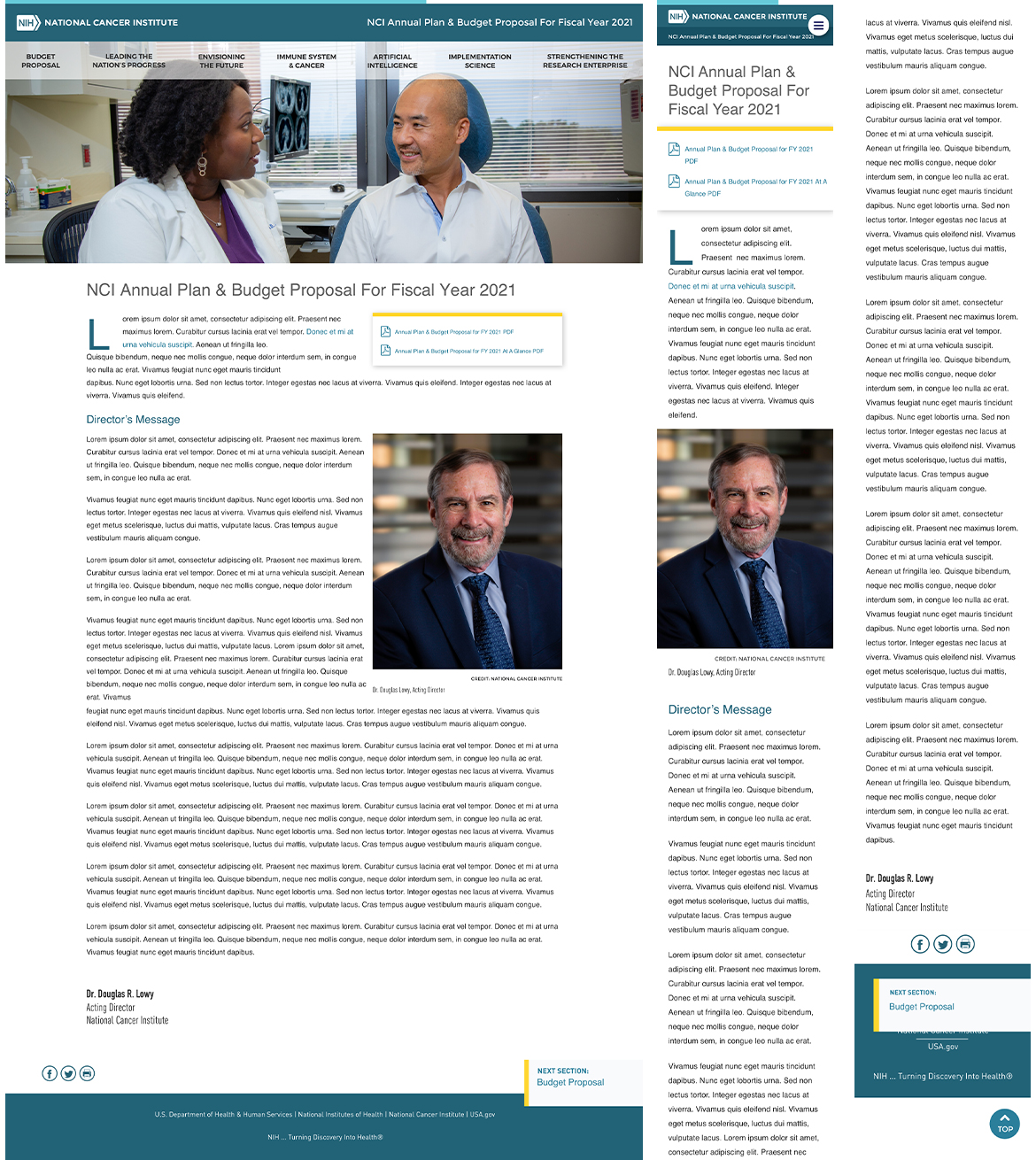 Annual Plan FY 21 Website